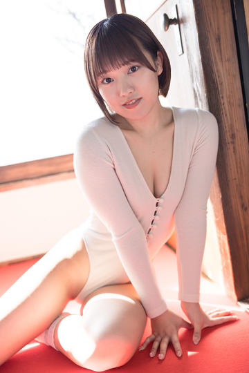 紫罗兰永恒花园外传：永远与自动手记人偶